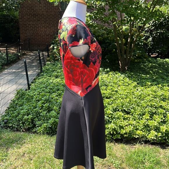 Ted Baker Floral Xylee Skater Dress - Picture 7 of 11